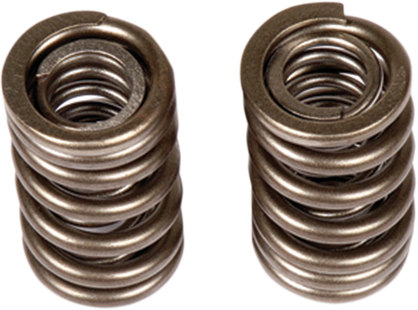 Valve Springs