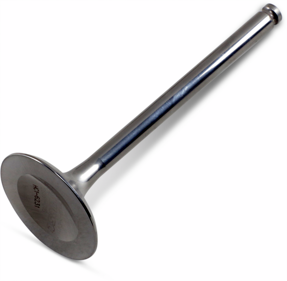 Exhaust Valve