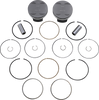 PISTON KIT M8 117" +020