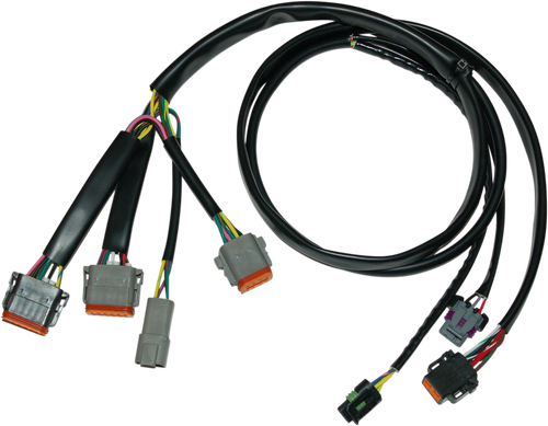 Ignition Wiring Harness - Harley Davidson