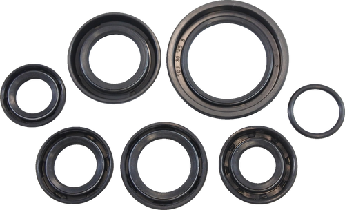 Oil Seal Kit