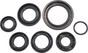 Oil Seal Kit