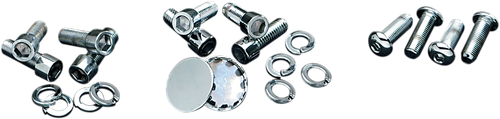 Polished Swing Arm Bolts - 7/16