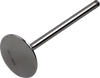 Exhaust Valve