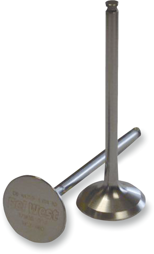 Exhaust Valve