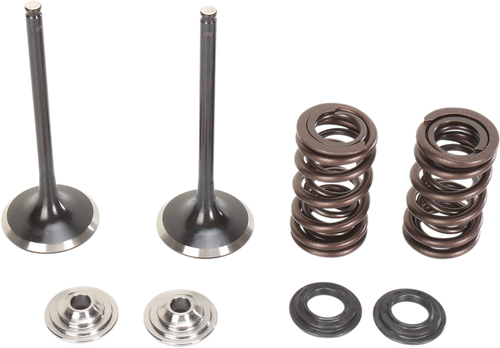 Intake Valve Kit