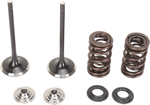 Intake Valve Kit