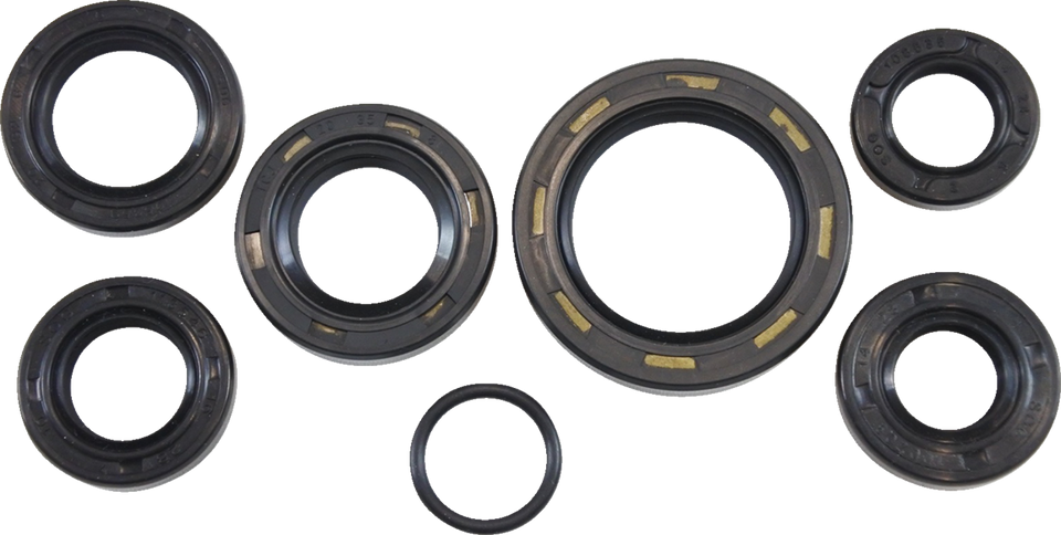 Oil Seal Kit