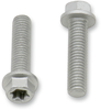 Bolt - European - M6 x 25 - 10-Pack