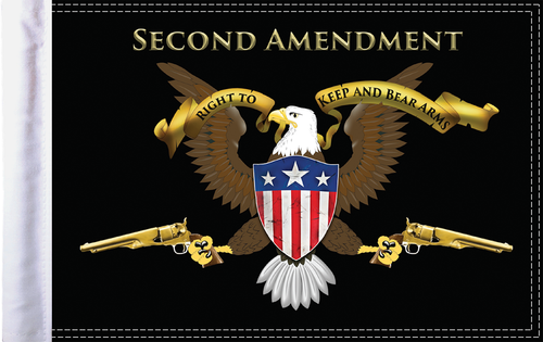 Second Amendment Flag - 10