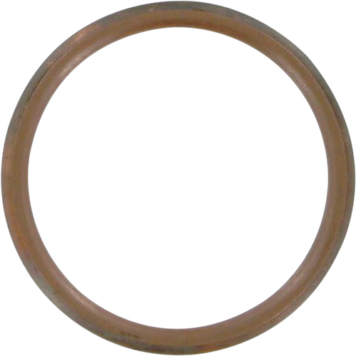 Exhaust Gasket