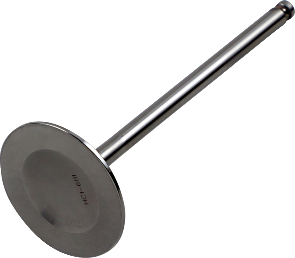 Intake Valve