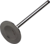 Intake Valve