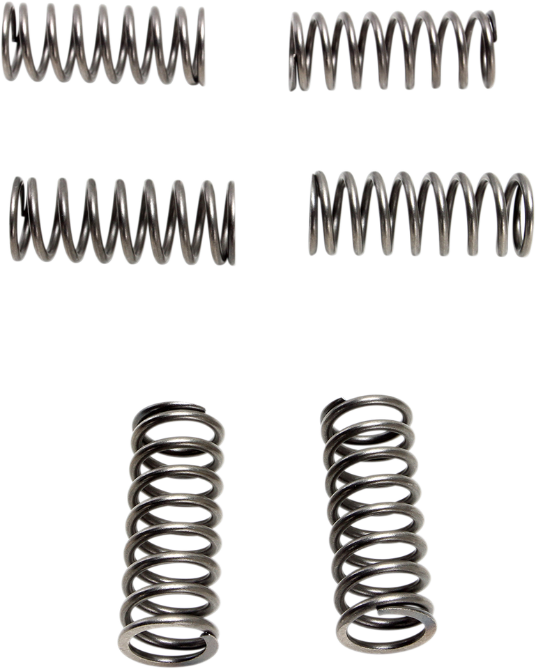 Clutch Springs - 6 pcs.