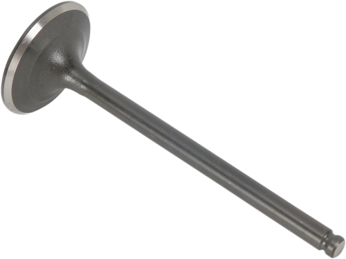 Exhaust Valve