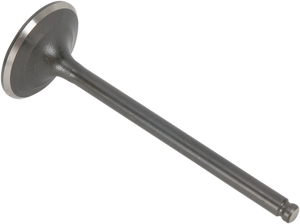 Exhaust Valve