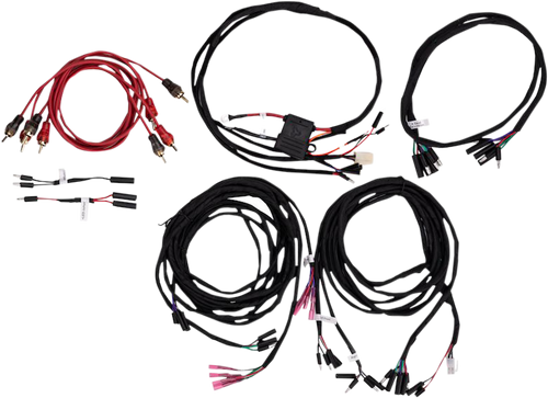 Dual Amp Wire Harness - Universal