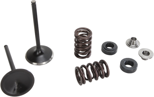 Intake Valve Kit