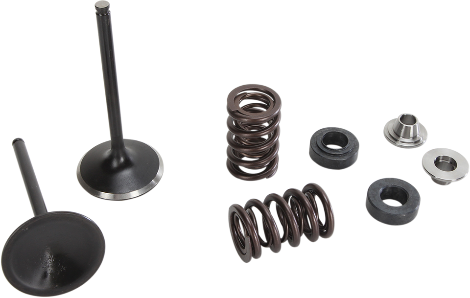 Intake Valve Kit