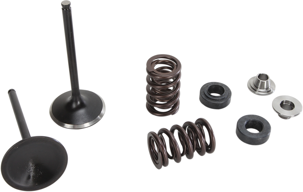 Intake Valve Kit