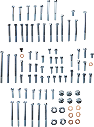 Engine Fastener Kit - Suzuki RM