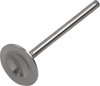 Exhaust Valve