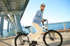 Discovery Rosemont LE E-Bike - Step Through