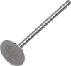 Intake Valve