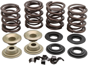 Valve Spring Kit