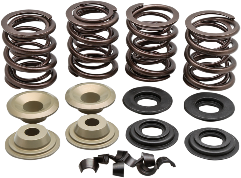 Valve Spring Kit