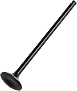 Exhaust Valve