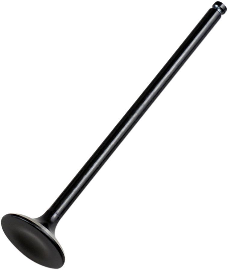 Exhaust Valve