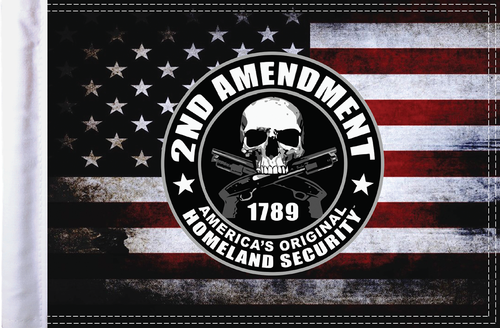 2nd Amendment Homeland Security Flag - 10