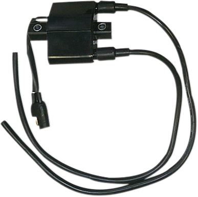 External Ignition Coil - Polaris