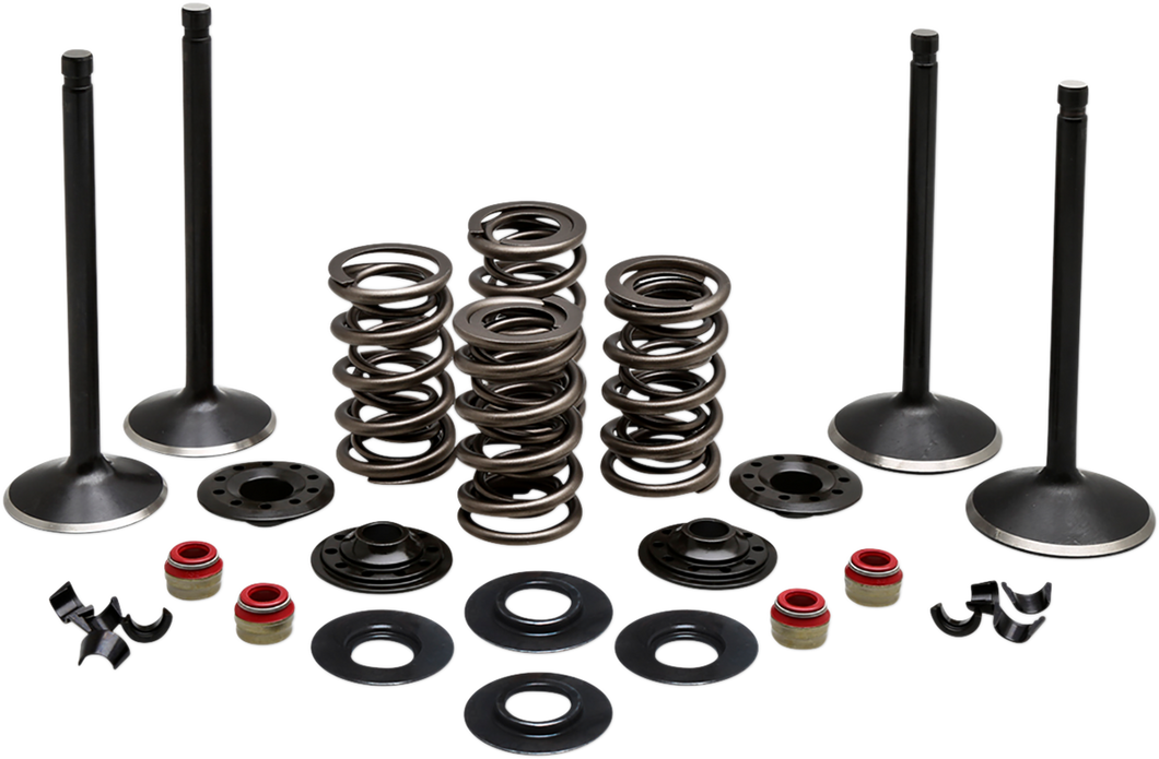 Complete Valve Kit - Twin Cam