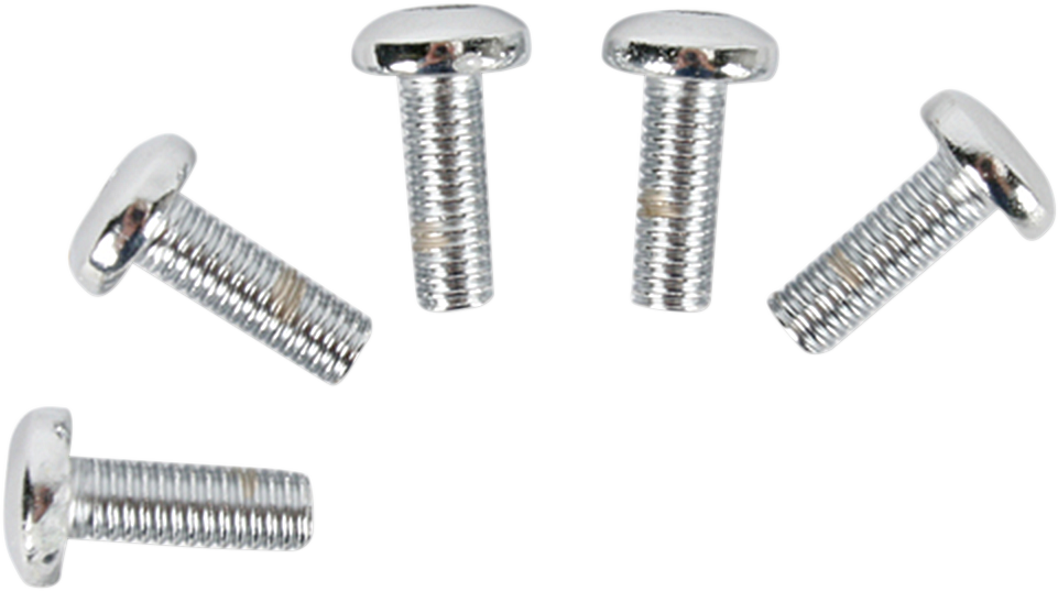 Rotor Bolt Set - Cast - Chrome - Lutzka's Garage