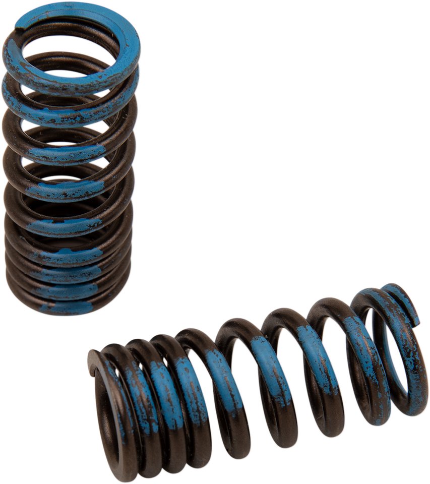 Valve Springs - Intake - Honda