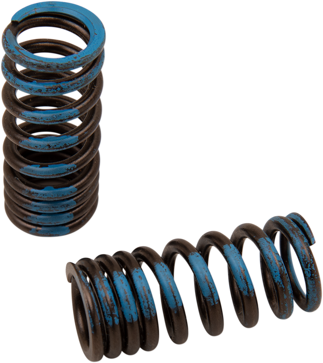 Valve Springs - Intake - Honda