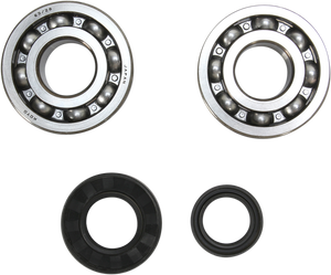 Crank Bearing and Seal Kit - Suzuki