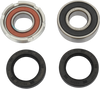 Wheel Bearing Kit - Rear - Honda