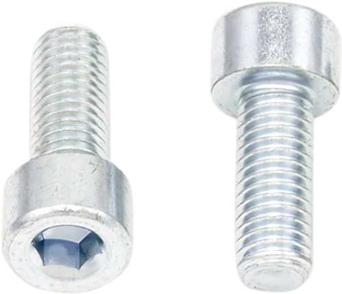 Allen Bolts - Socket-Head - M8 x 20 - 10-Pack