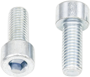 Allen Bolts - Socket-Head - M8 x 20 - 10-Pack