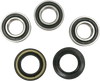 Wheel Bearing Kit - Rear