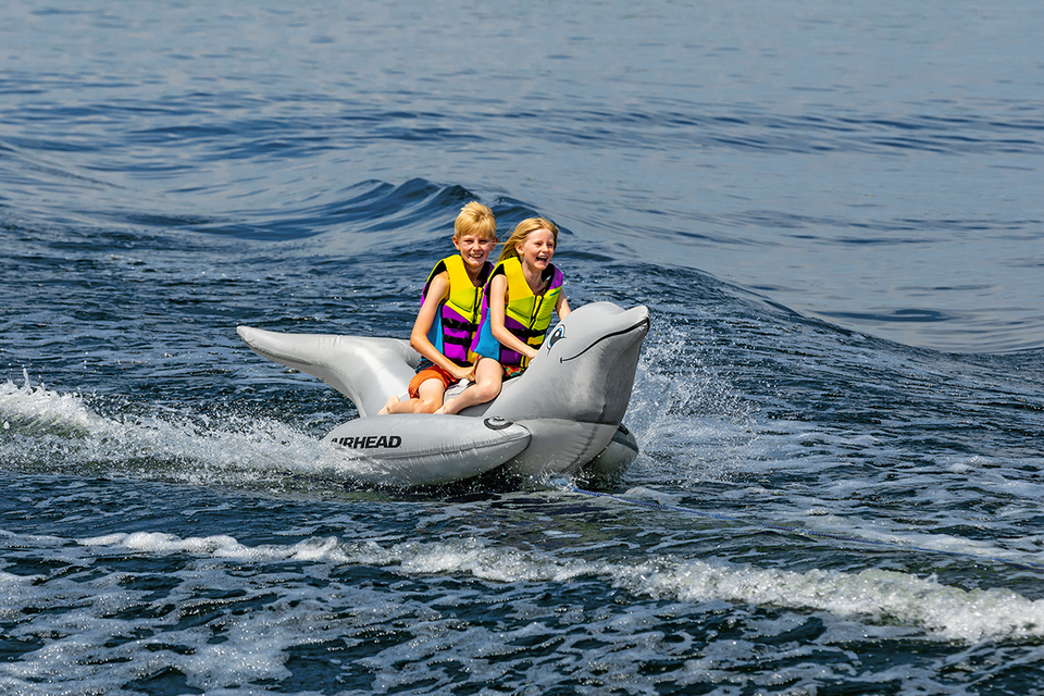 Dolphin Riding Tube - Towable