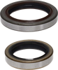 PRO-X Crank Seal Set - Beta