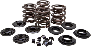 Valve Spring Kit