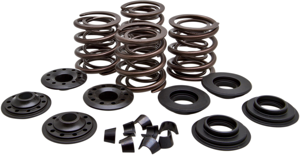 Valve Spring Kit