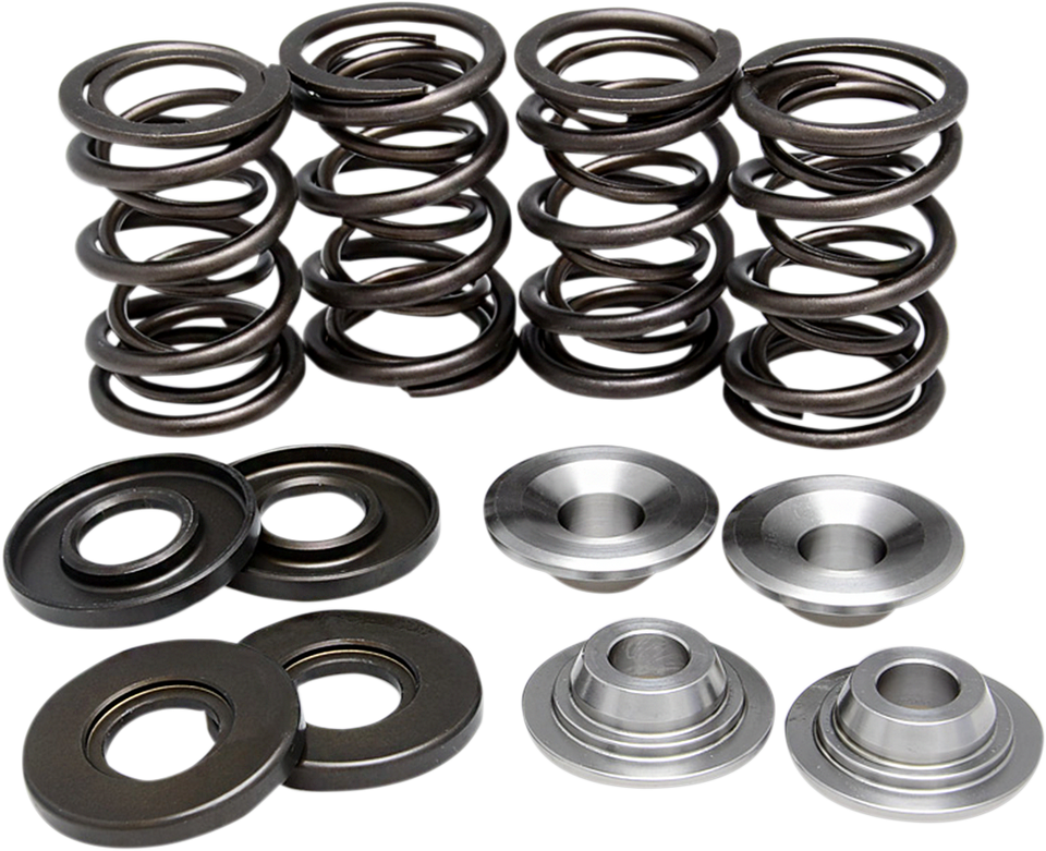 Valve Spring Kit