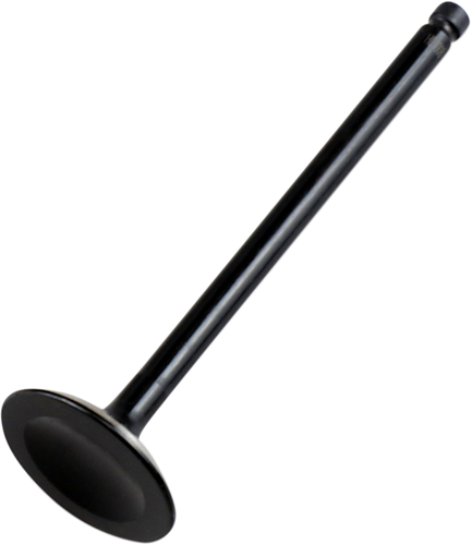 Intake Valve