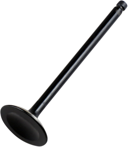 Intake Valve